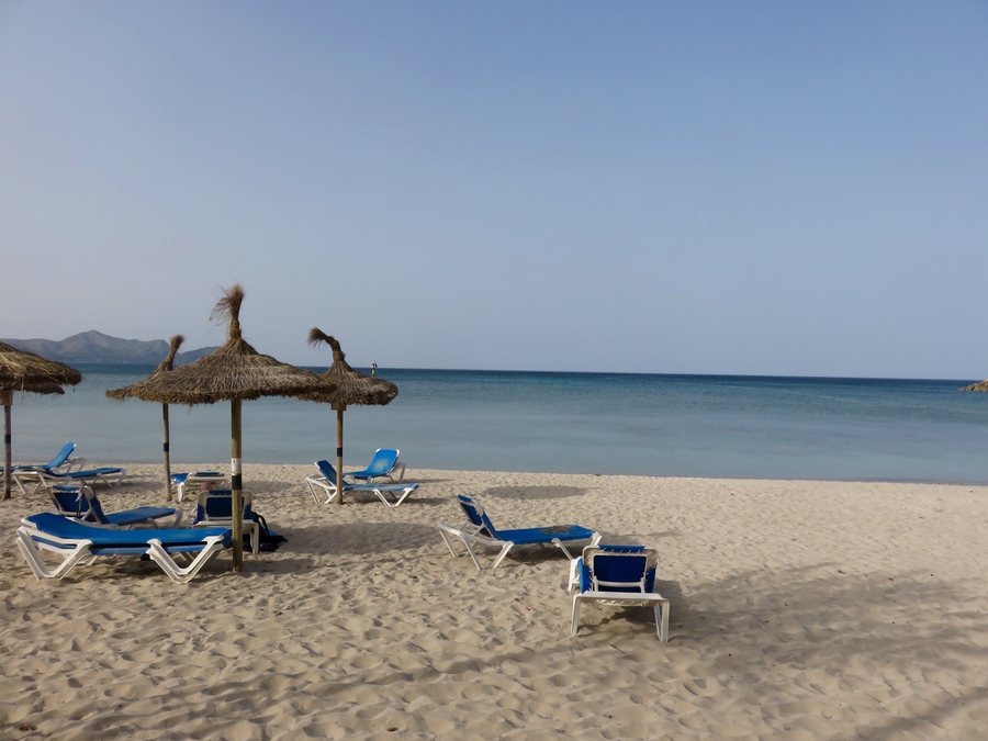 Palapas and chairs on the beach