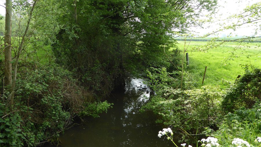 File:Morbecque la Grande Steenbecque.jpg
