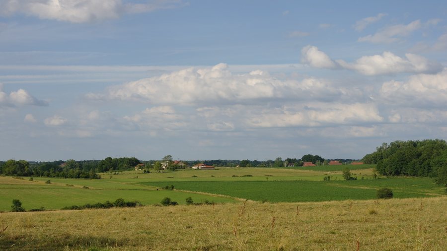 File:Bruailles paysage.jpg