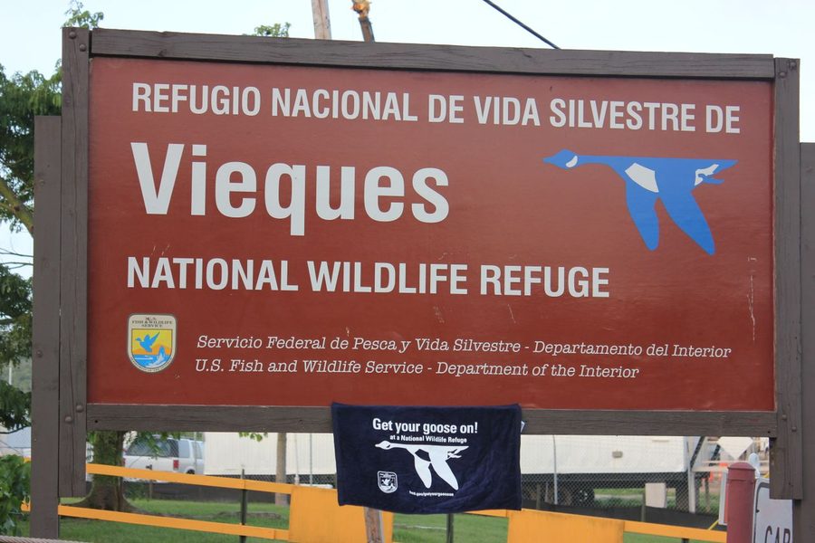 Paesaggio costiero nel Vieques National Wildlife Refuge con acqua e vegetazione.