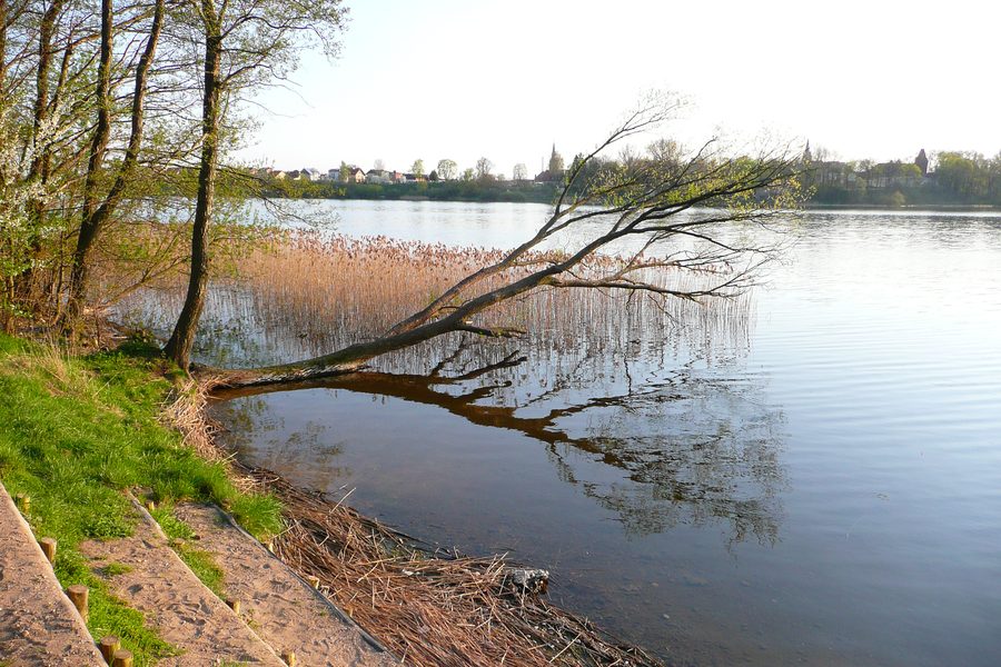 Jezioro Olecko Wielkie