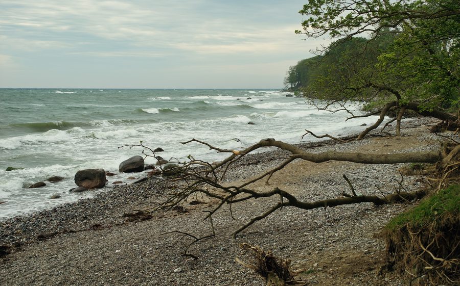 Paesaggio costiero a Katharinenhof a Fehmarn