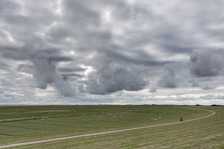 Pista ciclabile a Dagebüll in Frisia Settentrionale