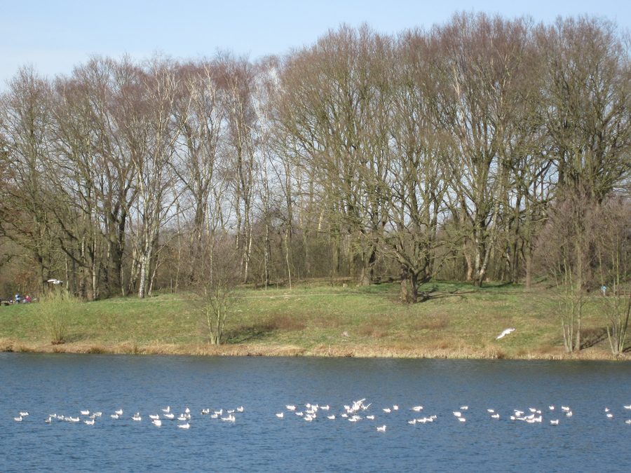 Hartensbergsee vicino a Goldenstedt visto da est