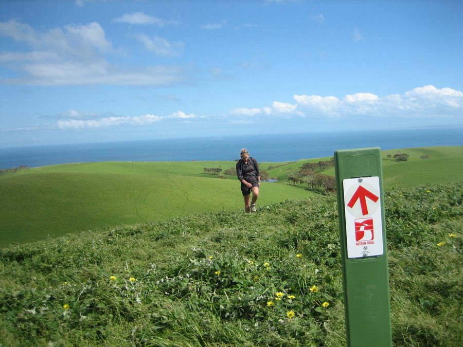 Escursionisti sull'Heysen Trail vicino a Waitpinga