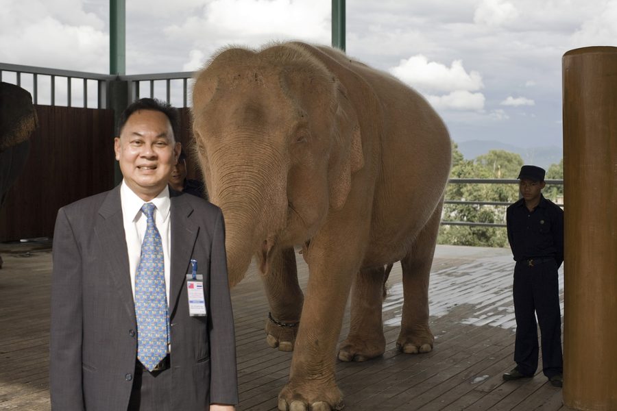 White elephant at Naypyidaw's Uppatasanti Pagoda