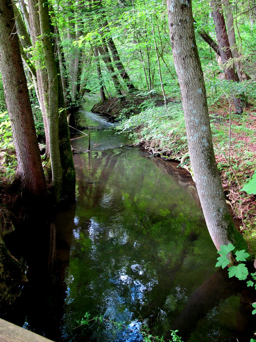 Landschaft im geschützten Kupferbachtal bei Glonn