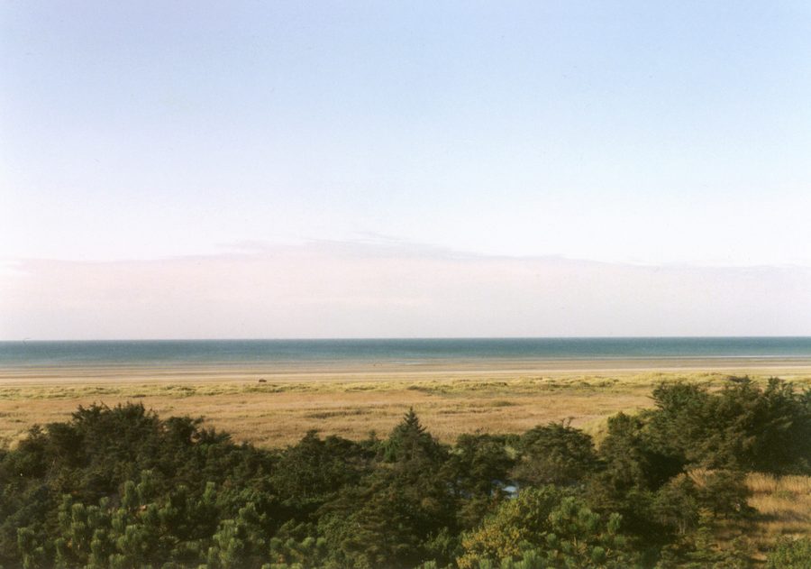 Spiaggia e dune sulla costa occidentale di Fanø