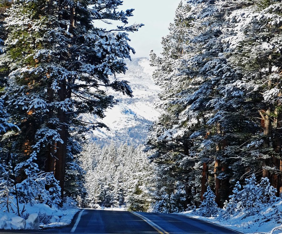 Strada di montagna innevata sulla via di accesso al Tioga Pass nell’area di Yosemite.