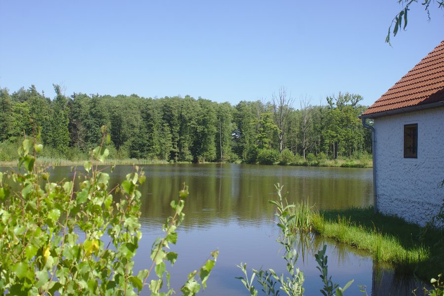 Herinkovský-Teich in Pístina in Südböhmen