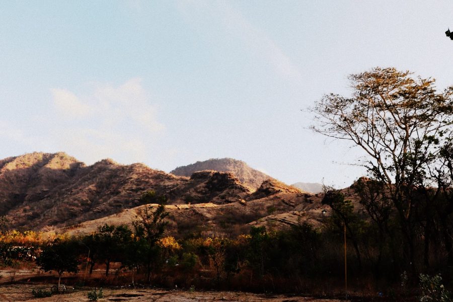Hilly savanna landscape in the conservation areas of West Bali National Park, Buleleng, Bali
