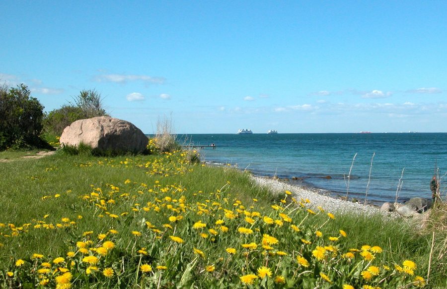 Spiaggia settentrionale di Fehmarn presso Marienleuchte con traghetti all’orizzonte
