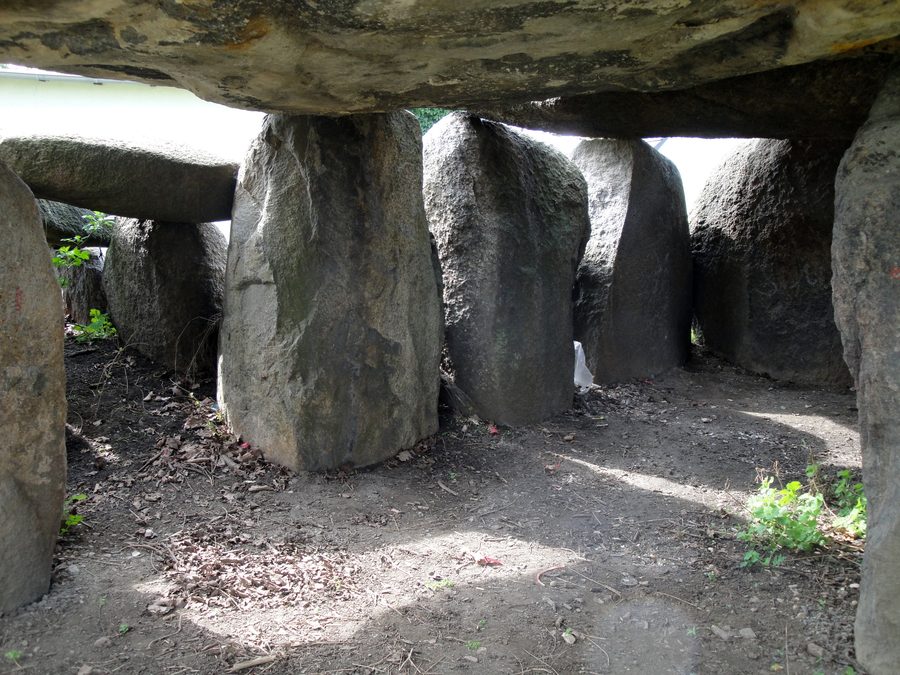 Großsteingrab in Wulfen im Landkreis Anhalt-Bitterfeld