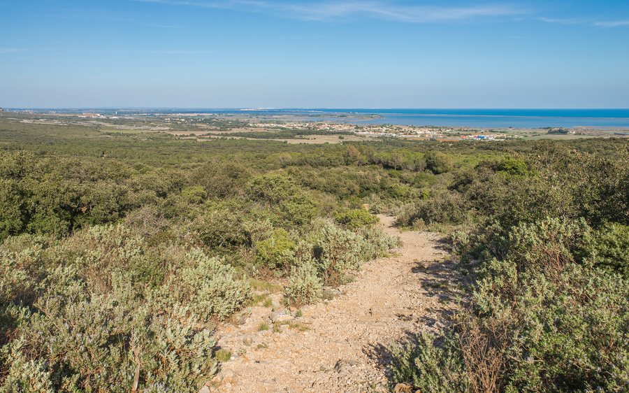 File:Mireval, Hérault from West 01.jpg