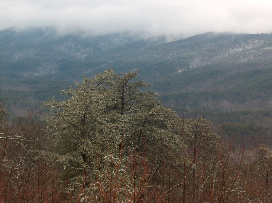 Mount Cheaha nella neve, Alabama