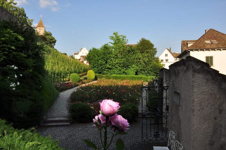 Roseto a Rapperswil