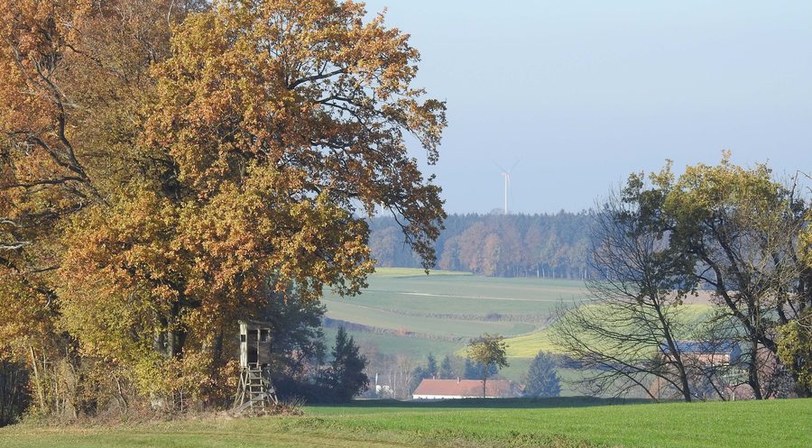 Paesaggio autunnale nella valle dell'Ilm presso Jetzendorf