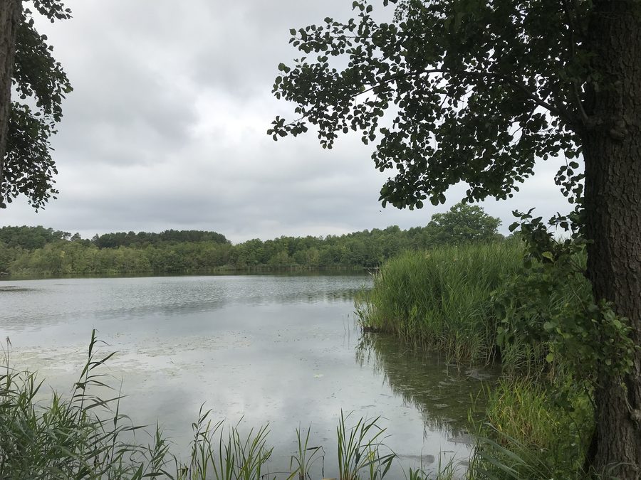 Blick auf den Bauernsee in Dobbrikow, Brandenburg