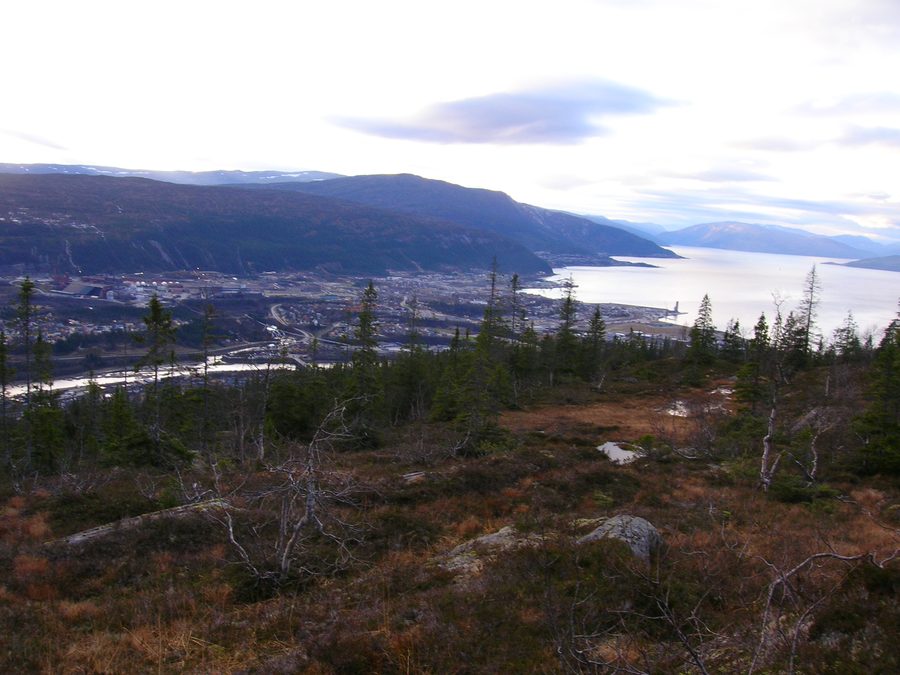 Mo i Rana e il Ranfjord, visti da Kvitbergan a Selfors