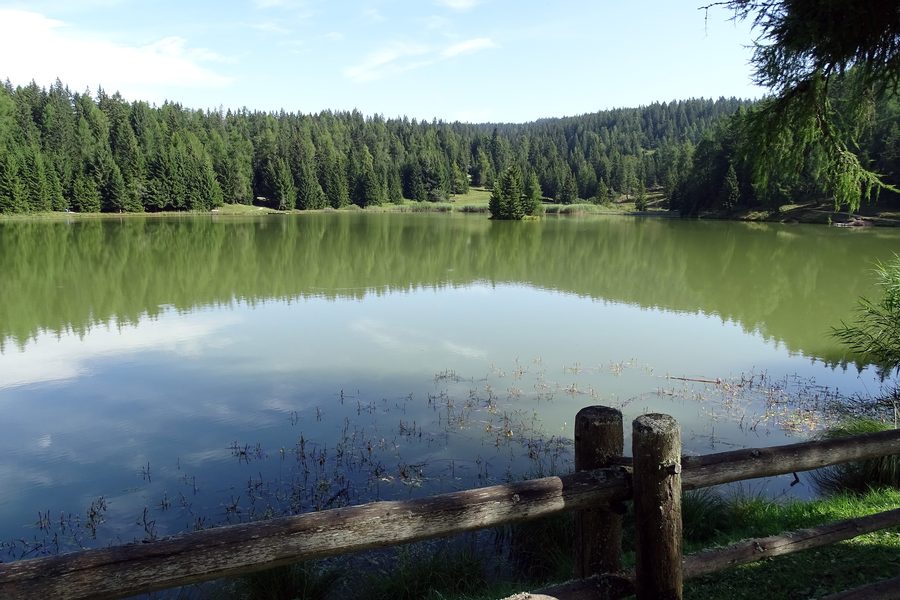 Felixer Weiher in Südtirol, umgeben von Wäldern und Wiesen