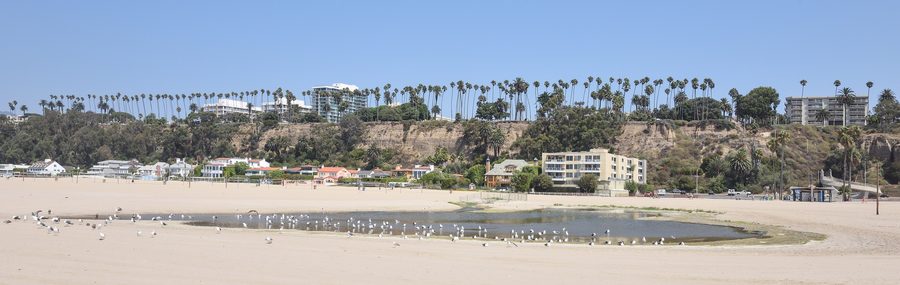 Santa Monica State Beach con gabbiani occidentali e vista lungo la costa del Pacifico