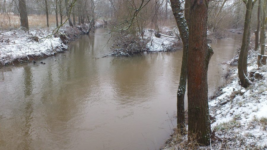 Mündung der Milz in die Fränkische Saale