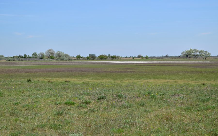 Lago Albersee nel Parco Nazionale Lago di Neusiedl-Seewinkel con aperto paesaggio di prati
