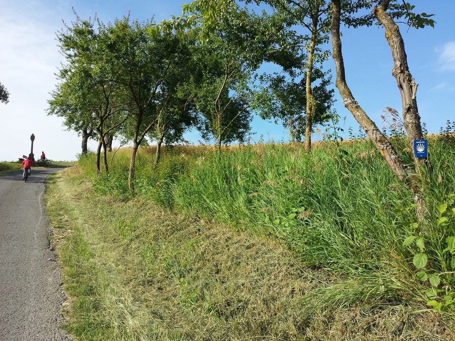 Landschaft am Jakobsweg Main-Taubertal zwischen Dienstadt und Königheim