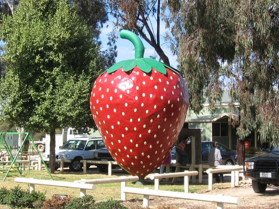 La Big Strawberry a Koonoomoo, Victoria