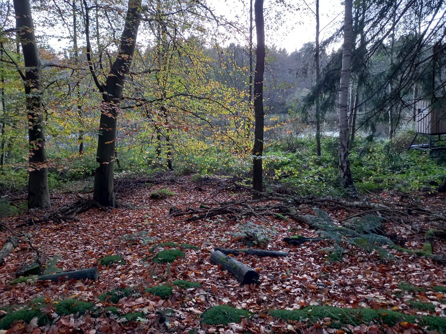File:Siedenbögen Twillbäke.jpg