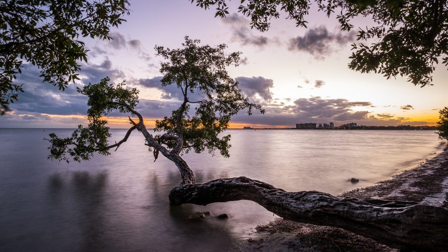 Paesaggio costiero a Key Biscayne con spiaggia, mare, alberi e cielo al tramonto