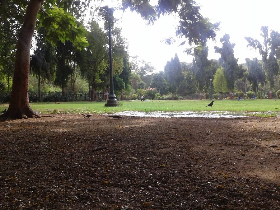 Sayaji Baug, noto anche come Kamati Baug, a Vadodara