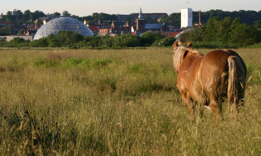 Randers Regnskov mit den großen Kuppeln des tropischen Zoos