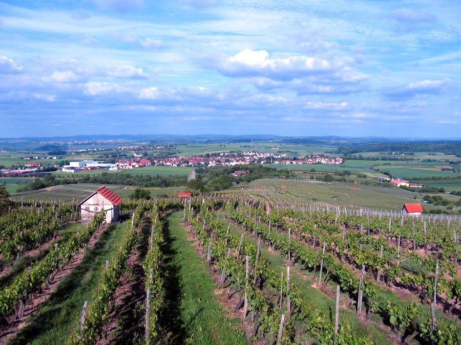 Blick von der Erligheimer Weinkanzel auf Erligheim und die umliegenden Weinberge