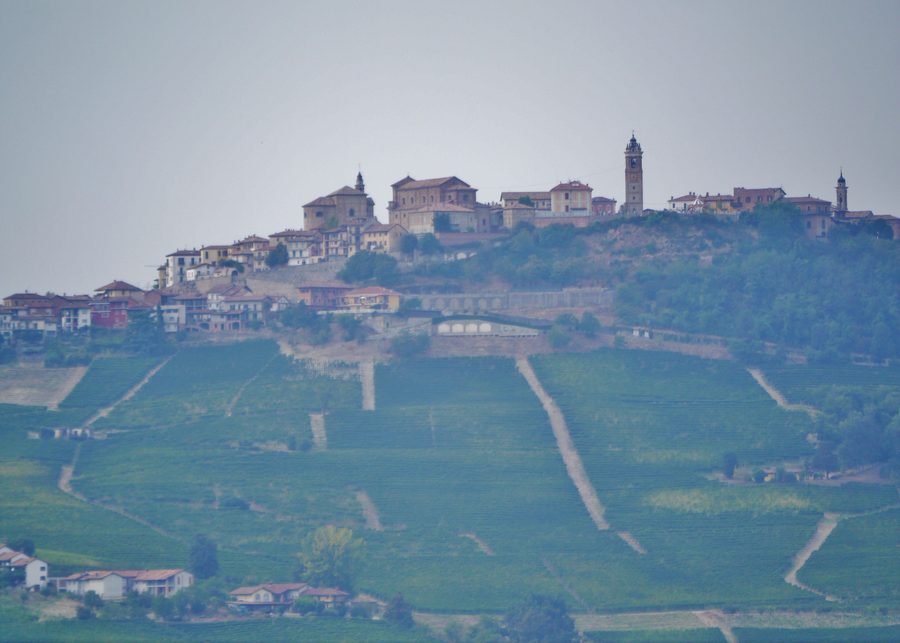 Paesaggio collinare delle Langhe tra Monforte d’Alba e La Morra nella provincia di Cuneo