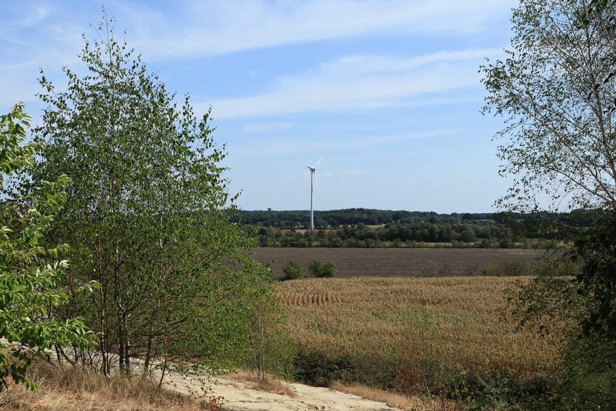 Blick vom Sandberg zu Surwolds Wald an der Neubörgerstraße in Surwold