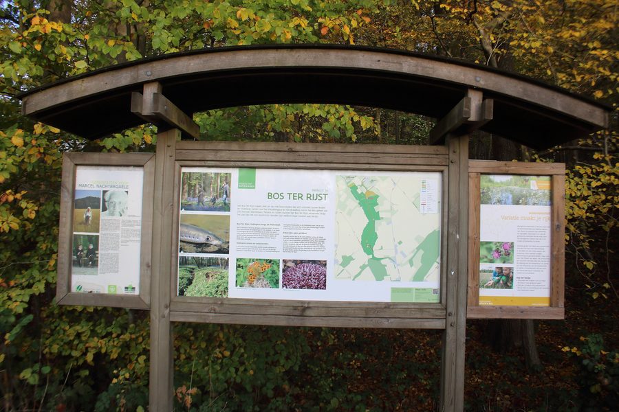 Paesaggio forestale nel Bos Ter Rijst presso Schorisse