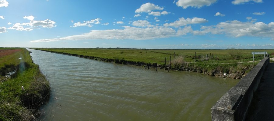 File:FR 17 Tonnay-Charente · Muron - Canal de Genouillé.JPG