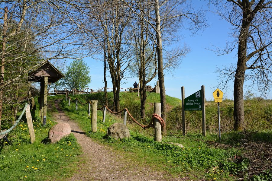 Paesaggio nel Wildes Moor nello Schleswig-Holstein