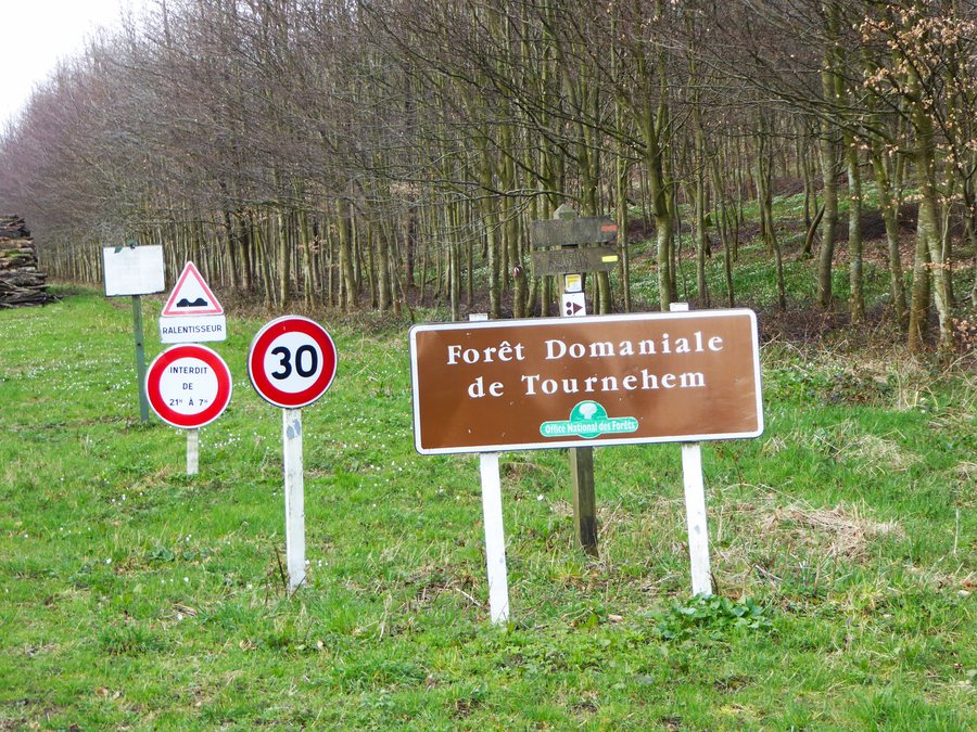 File:Tournehem-sur-la-Hem forêt domaniale.jpg