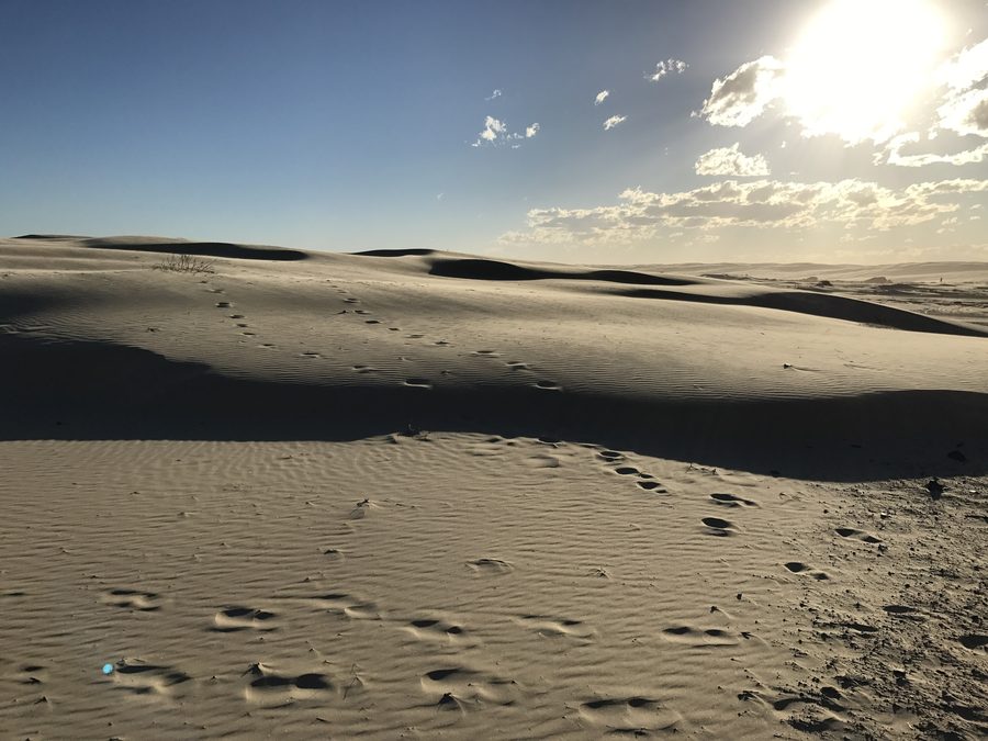 Dune di sabbia presso Anna Bay vicino a Port Stephens nel New South Wales