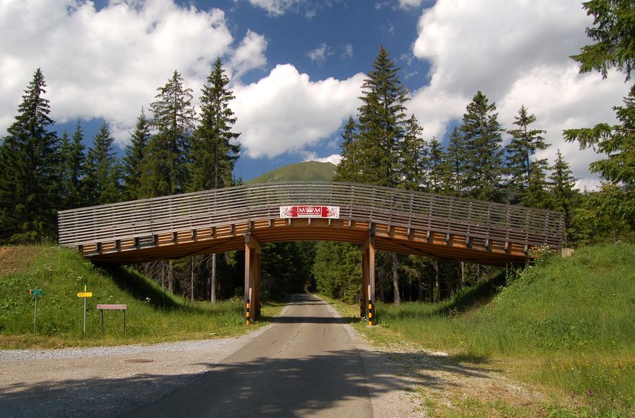 Ponte per lo sci di fondo nel paesaggio invernale di Hohentauern