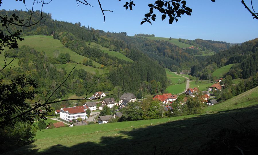Blick über Wagensteig und das Wagensteigtal bei Buchenbach im Schwarzwald