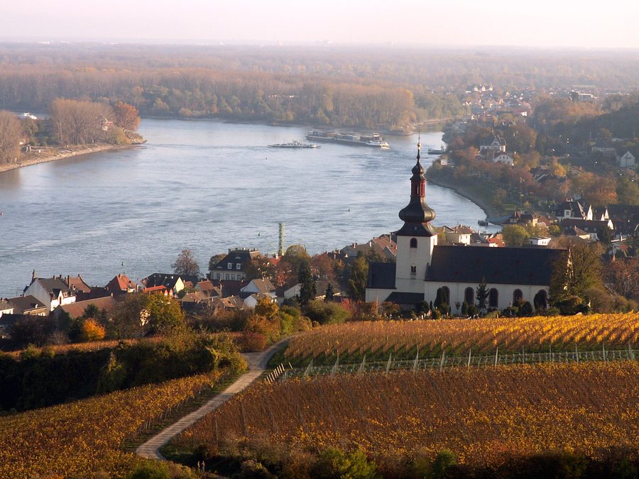 Blick vom Roten Hang auf Nierstein mit der Kilianskirche