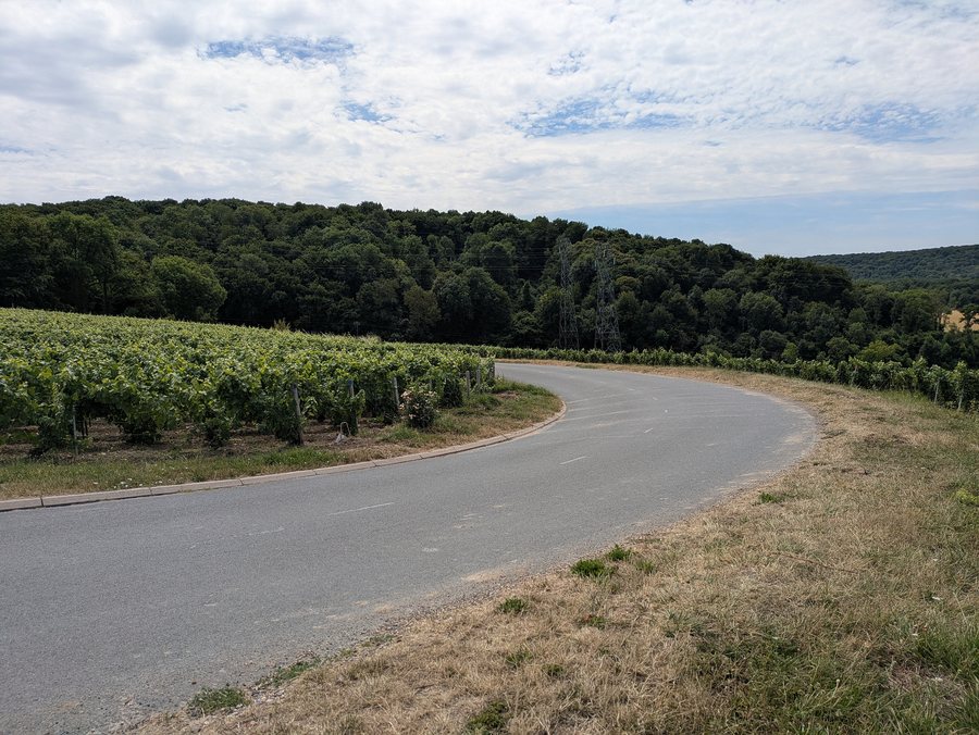 File:51249 Festigny D423 et Bois des Roches entre Festigny et Leuvrigny.jpg