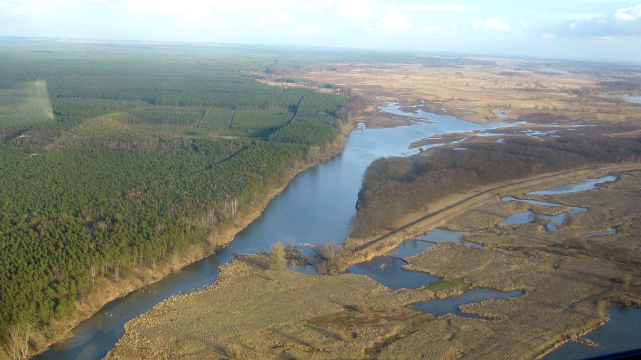 Krzesin Lake in Krzesin Landscape Park, Poland