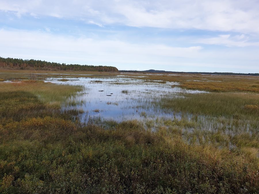 Blick vom Aussichtsturm auf den Kävsjön im Store-Mosse-Nationalpark