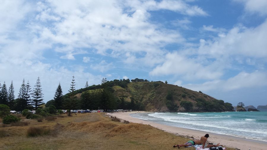 Vista dal centro della spiaggia verso nord sulla Matauri Bay