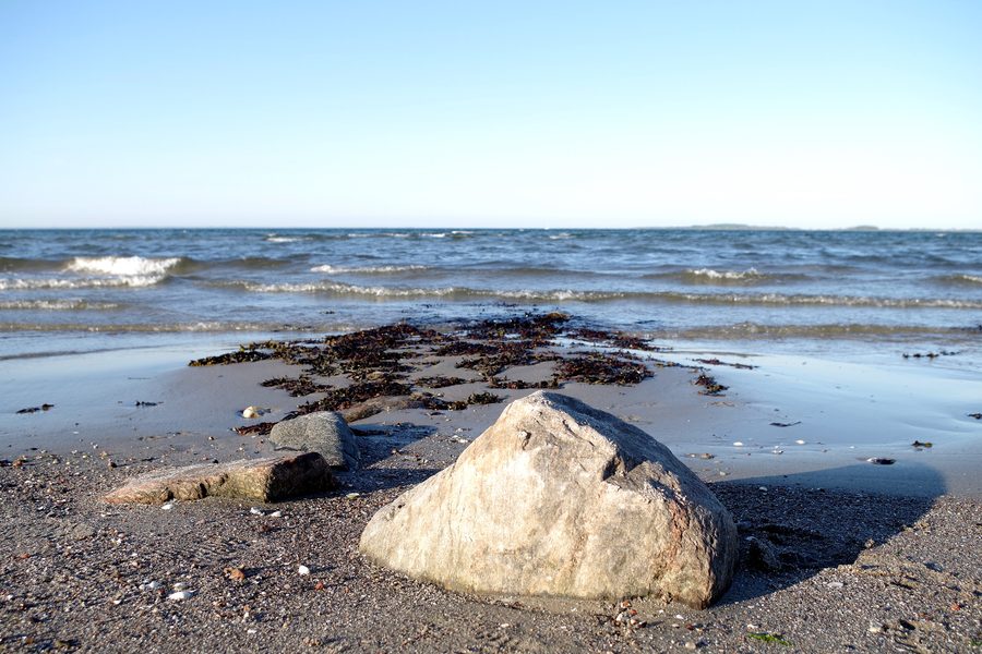 Küstenlandschaft an der Flensburger Förde bei Ohrfeldhaff mit Blick über das Wasser