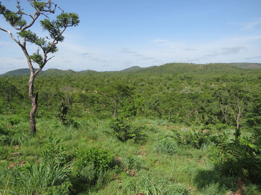 Vue du Parc de la Pendjari, avec une végétation passant de la savane à la forêt sur les monts de l'Atakora